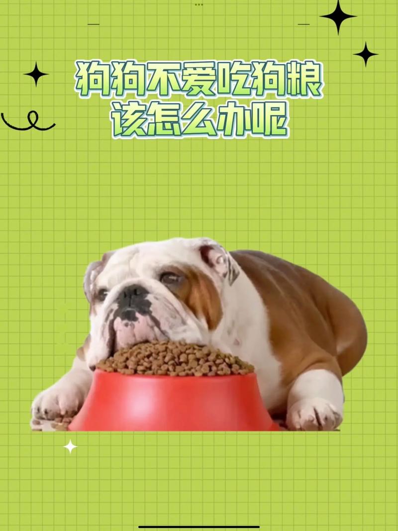 狗狗吃狗粮不嚼直接吞怎么办