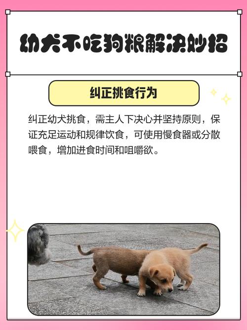狗狗吃狗粮不嚼直接吞会有什么影响?