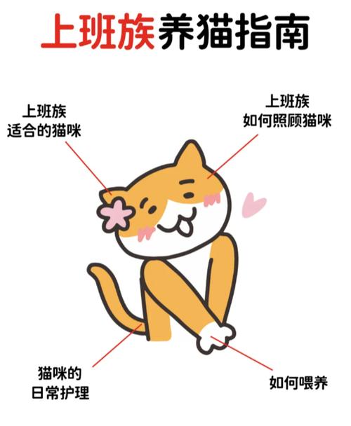 应该怎样陪猫咪玩耍?