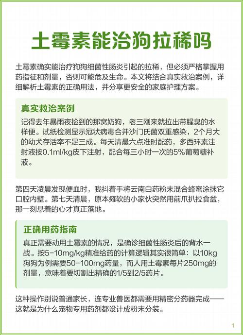 狗狗拉肚子可以吃土霉素吗?