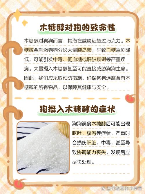 木糖醇狗吃了以后会怎么样(狗吃木糖醇为什么没事)