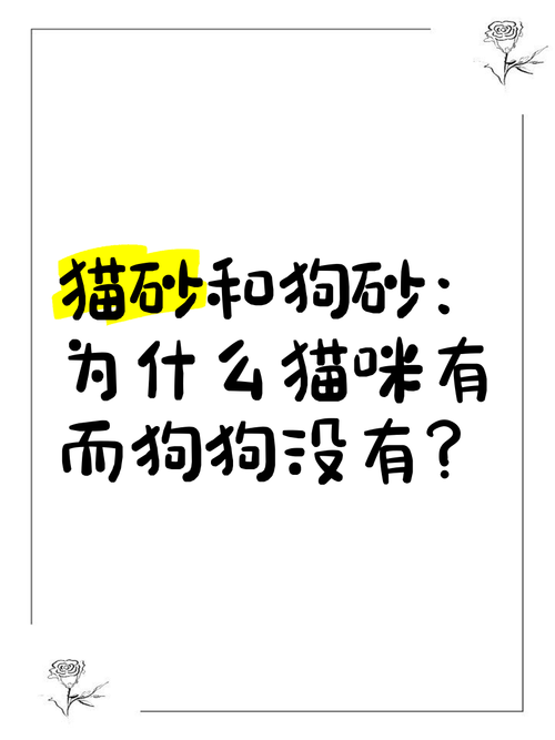为什么狗不能用猫砂