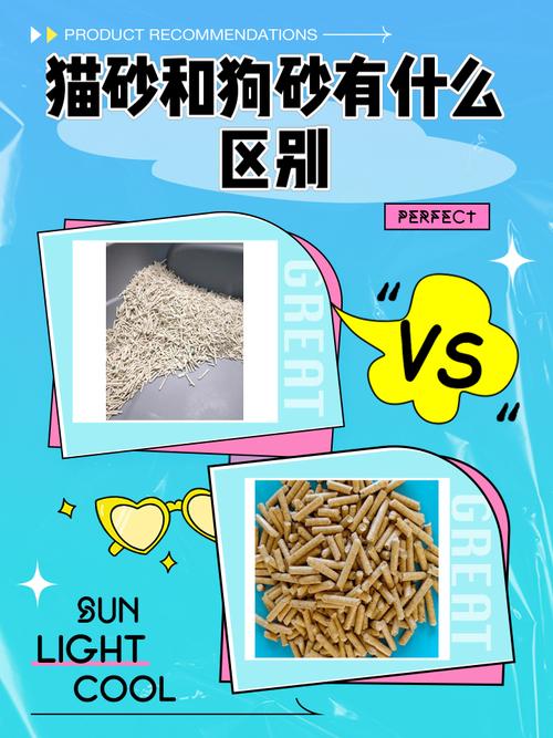 猫和狗一起养狗会用猫砂吗