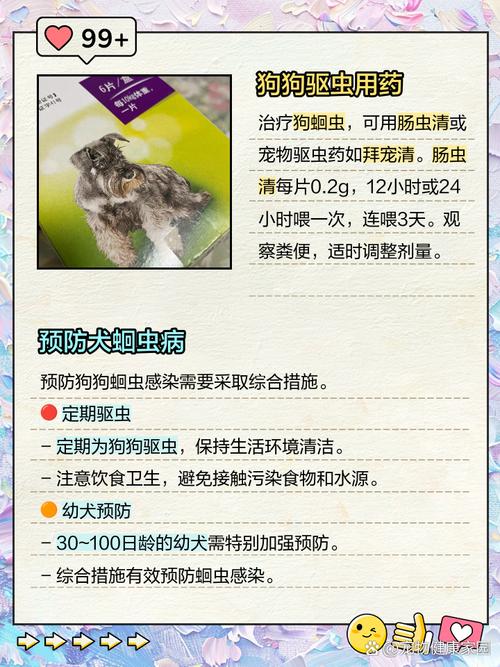 怎样给狗狗驱虫药