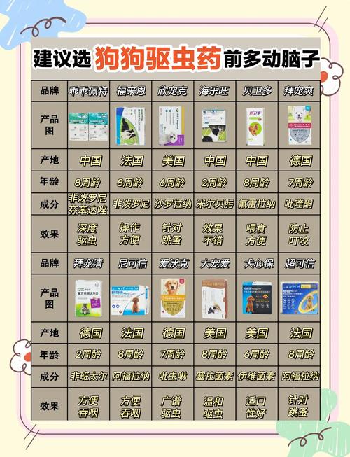 芬苯达唑片比熊一天要喂几次