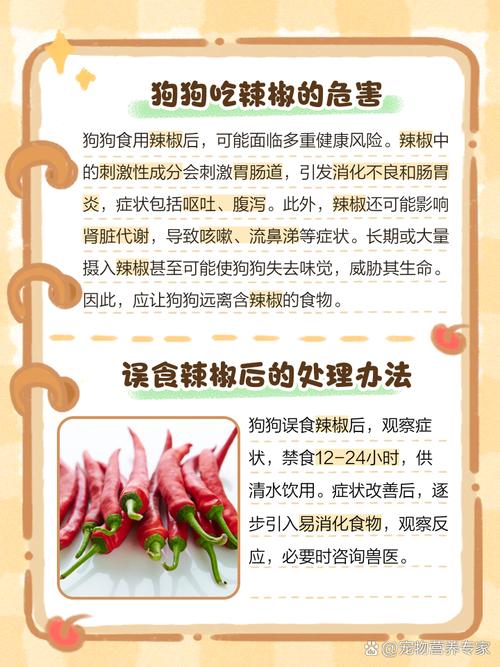 狗狗吃了很辣的东西会怎么样