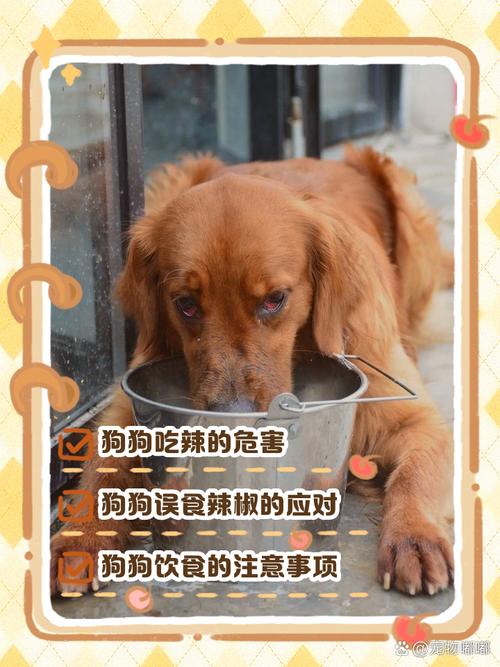 狗吃了辣椒会怎么样