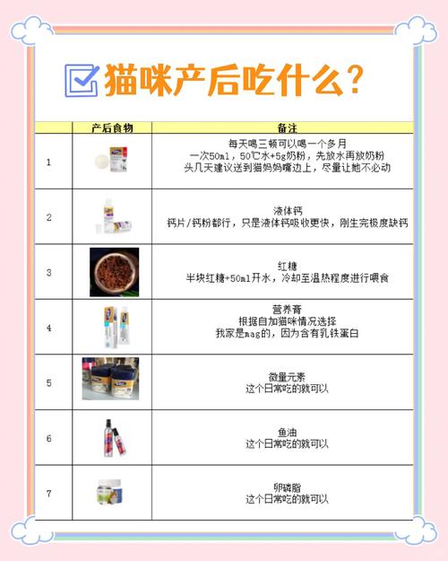 猫咪生产后吃什么