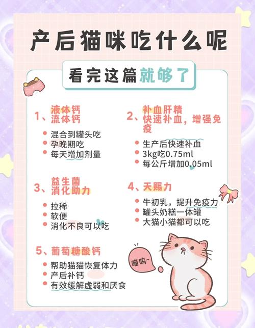 猫咪产后吃什么东西比较好?