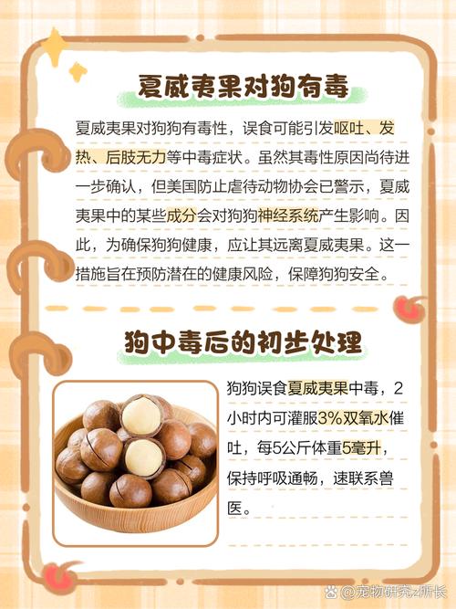 我家狗狗吃夏威夷果了怎么办