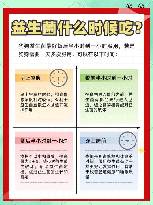 狗狗软便该吃什么益生菌?