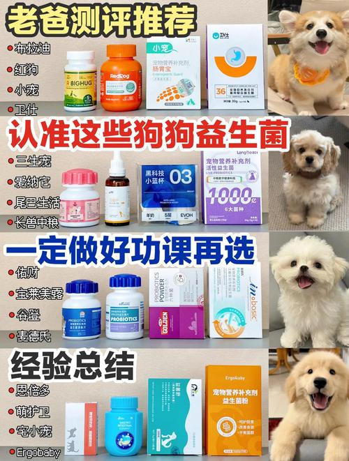 狗狗益生菌一天吃几次比较好注意事项有哪些
