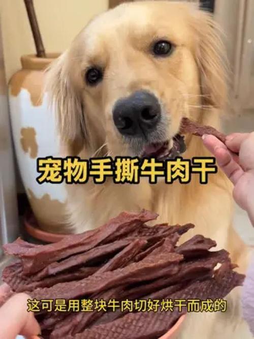 狗狗能不能吃牛肉干各位不要吝啬