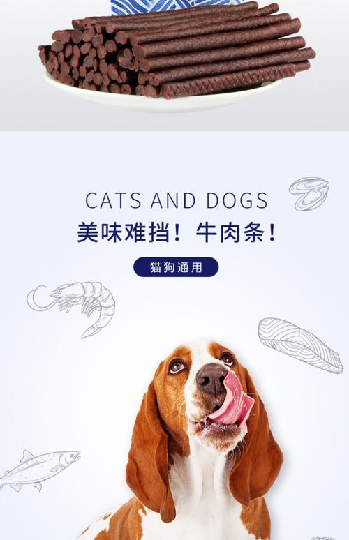 狗狗可以吃牛肉干?