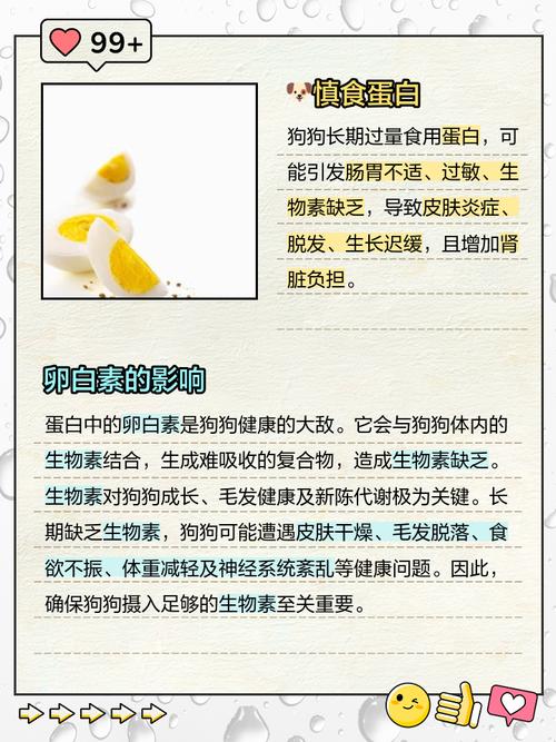 狗狗为什么不能吃蛋白