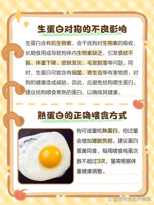 狗能吃蛋白吗