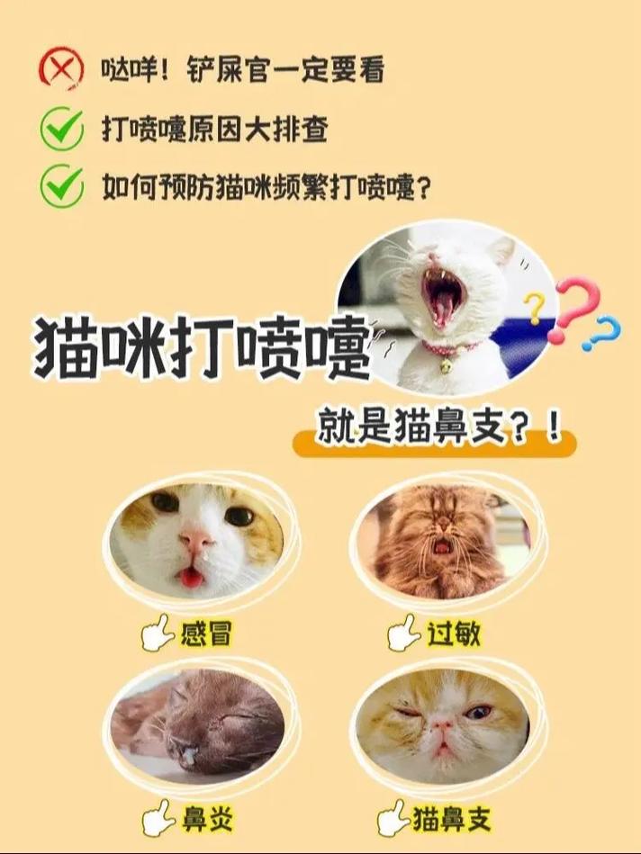 猫咪打喷嚏拉稀