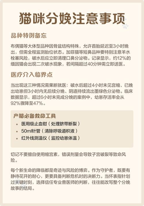猫咪羊水破了多久不生算难产