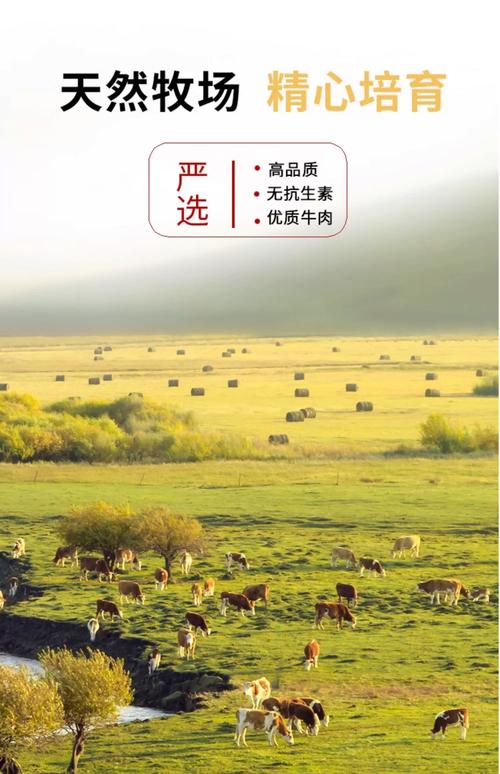 皇家,海洋之星,麦富迪,比瑞吉,比乐这些狗粮到底哪种好?