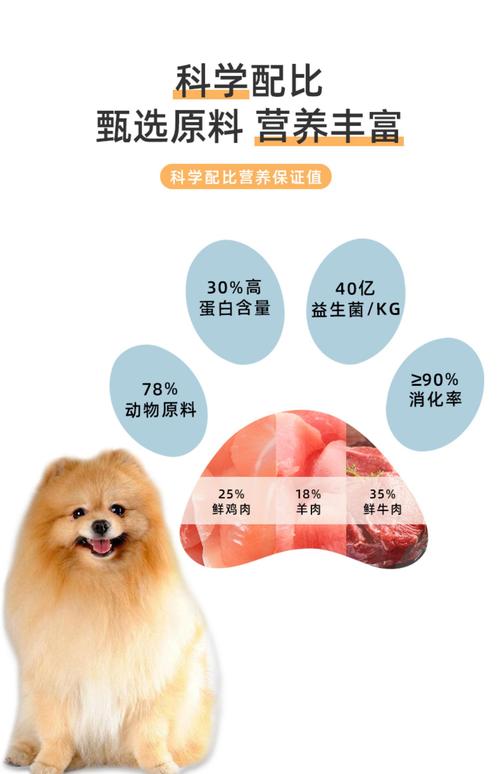 狗狗吃什么狗粮好?