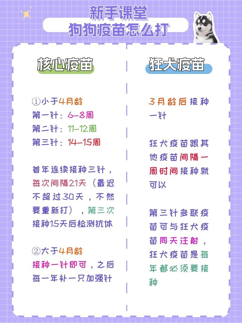 狗打了狂犬疫苗多久生效