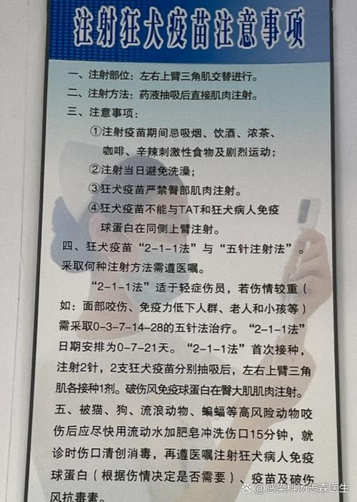 狗狗打完狂犬疫苗后多久产生抗体?