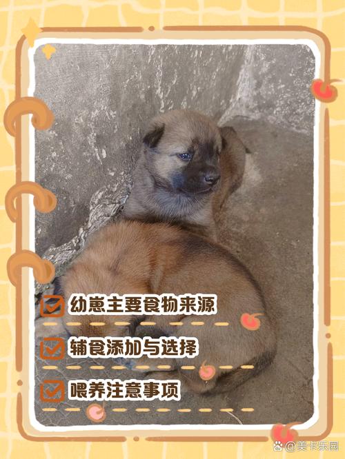 刚出生一个月的狗狗可以吃什么?