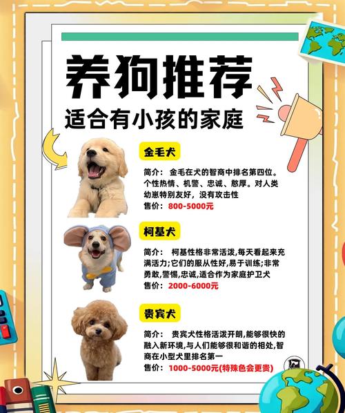 不拆家的狗狗有哪些