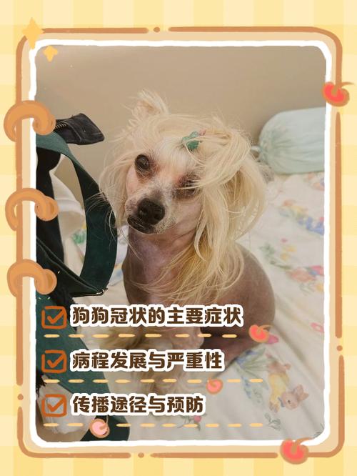 狗狗得了冠状的症状