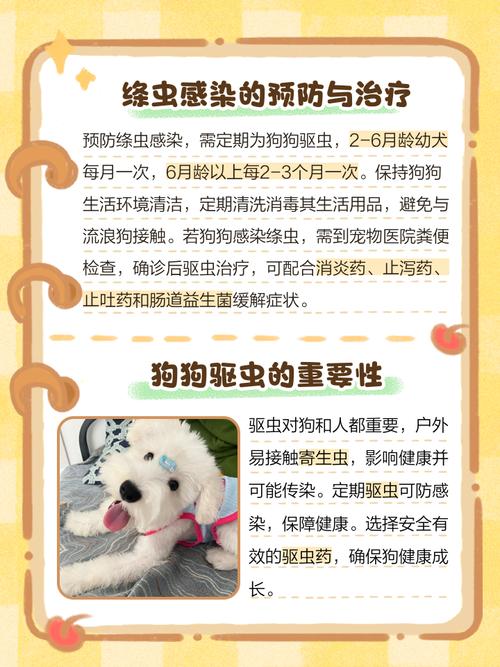 狗拉的屎里面有白色的虫子怎么办