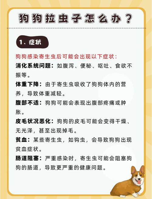 三个月的狗狗拉虫子该怎么办?吃什么药啊