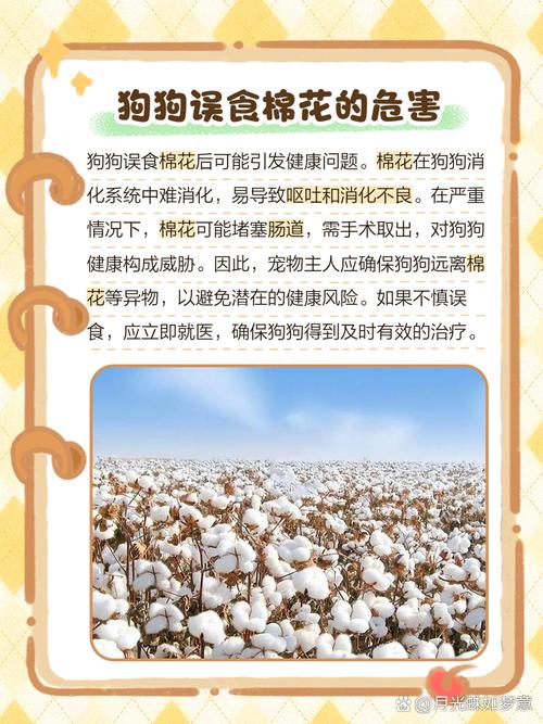 狗狗吃了棉花怎么办,狗不小心吃了棉花怎么办