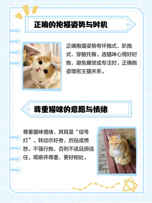 为什么猫不喜欢让人抱