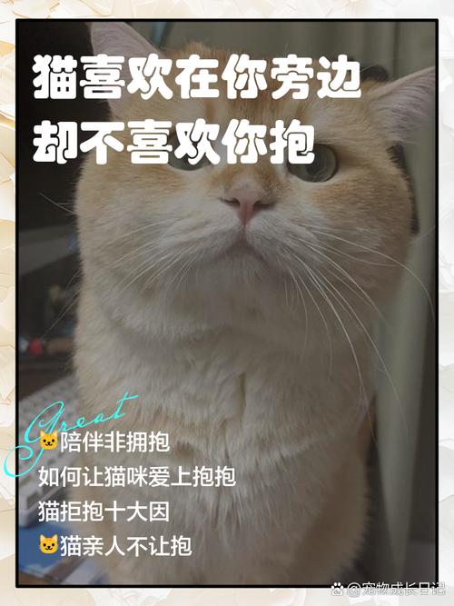 我家猫咪好像不喜欢人抱它,抱一会就想跳走,但是抱的时候又回发出咕噜咕...