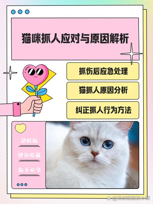 一岁的小母猫,不让抱不让摸,还爱挠人,一抱它就又挠又咬的,还总故意的...