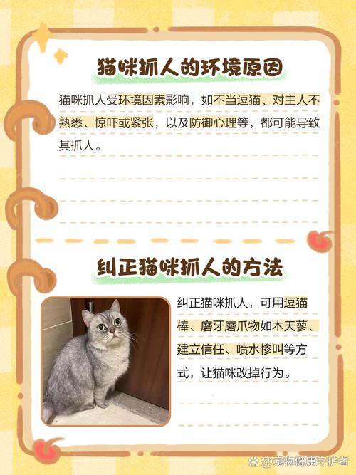 猫咪半夜爬床挠人怎么办?