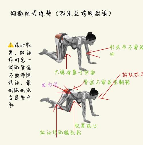 狗狗多大会憋尿憋大便