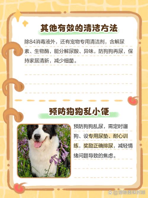 狗狗喝了84消毒液怎么办