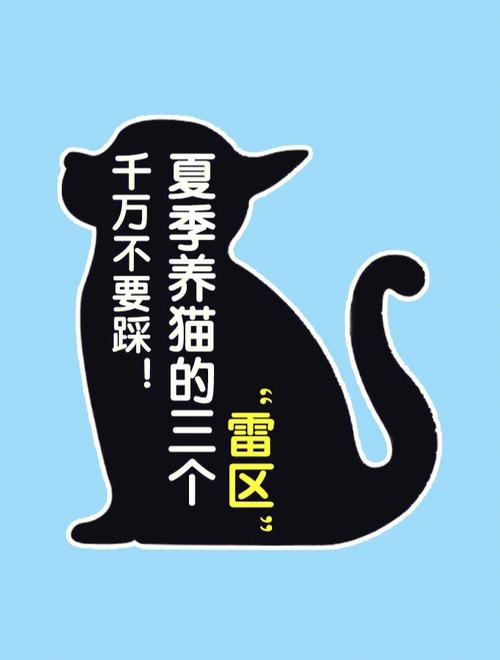 夏季养猫的三个雷区