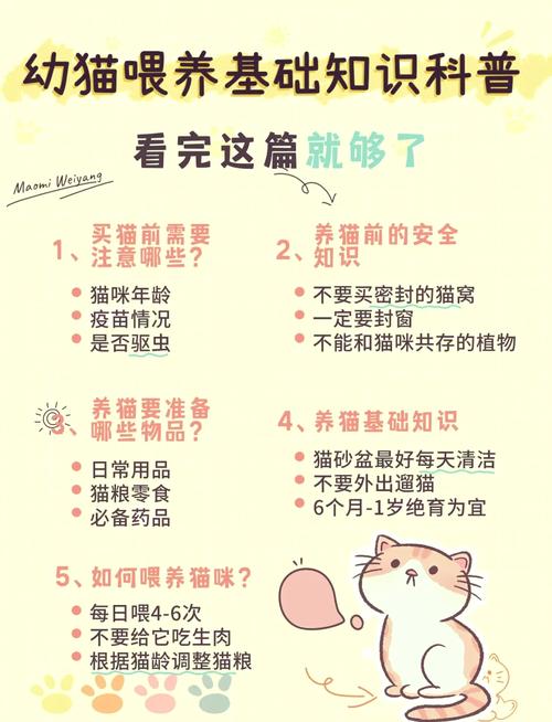 两个月大的小猫吃什么食物好