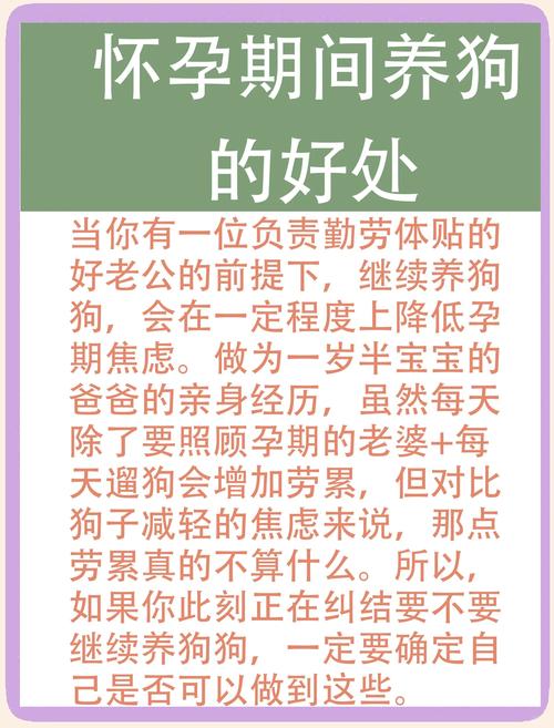 孕期养狗狗应该怎么做?