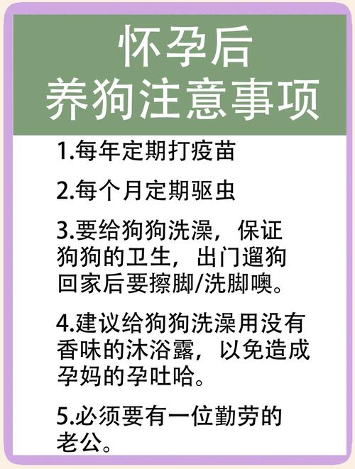 怀孕了养狗狗注意事项