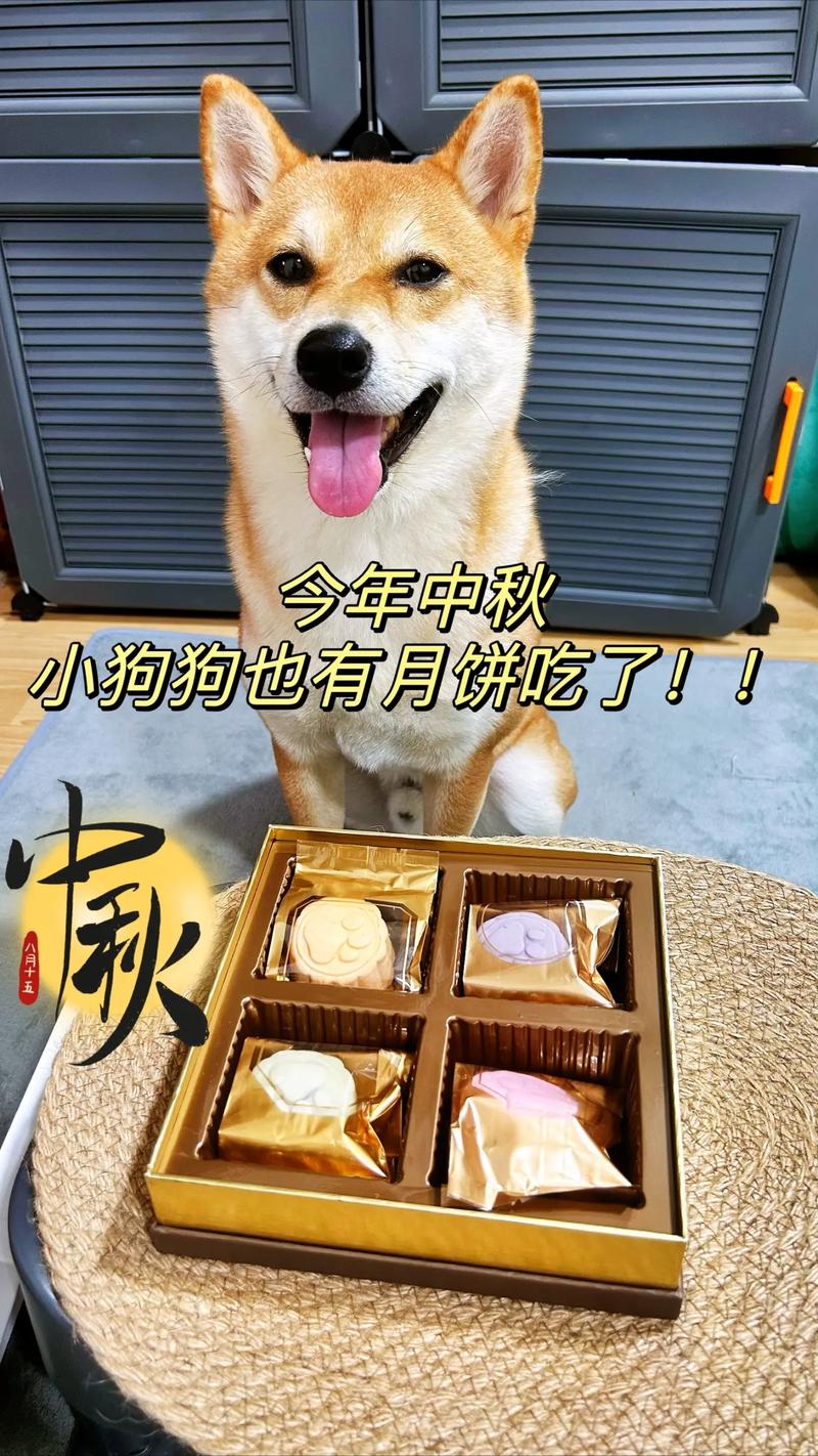 狗狗吃了月饼会死吗
