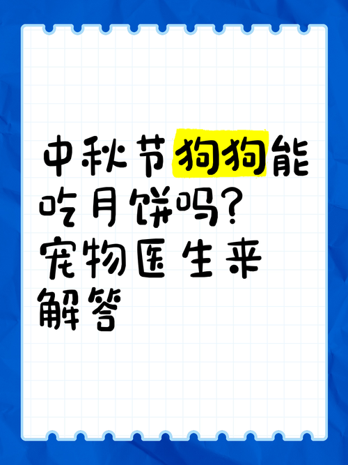 狗狗可以吃月饼吗?狗狗吃月饼的危害