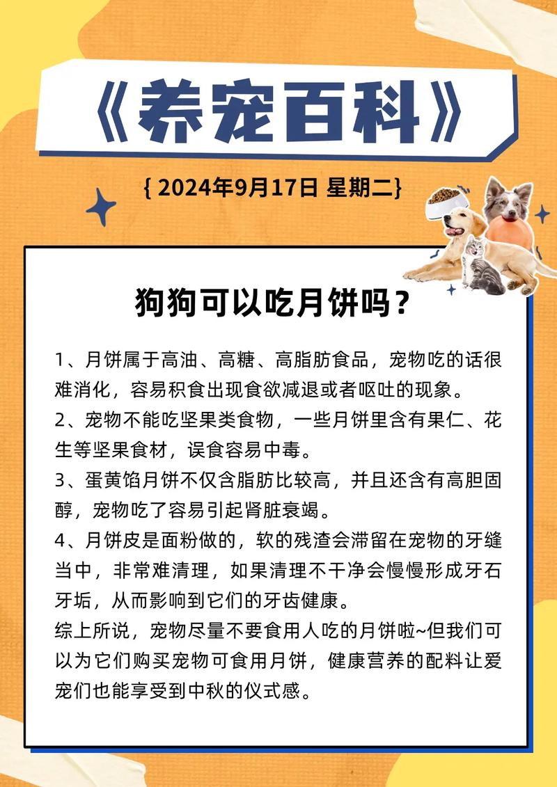 狗狗吃月饼的危害