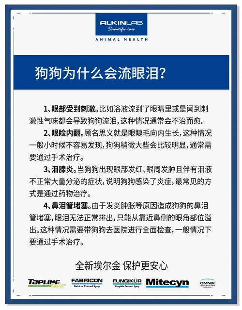 柯基狗流眼泪的原因及处理方法