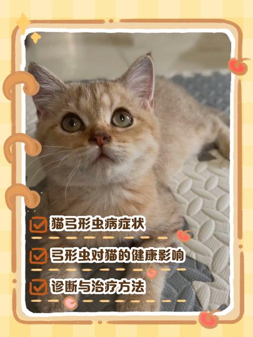 猫感染弓形虫会自愈吗
