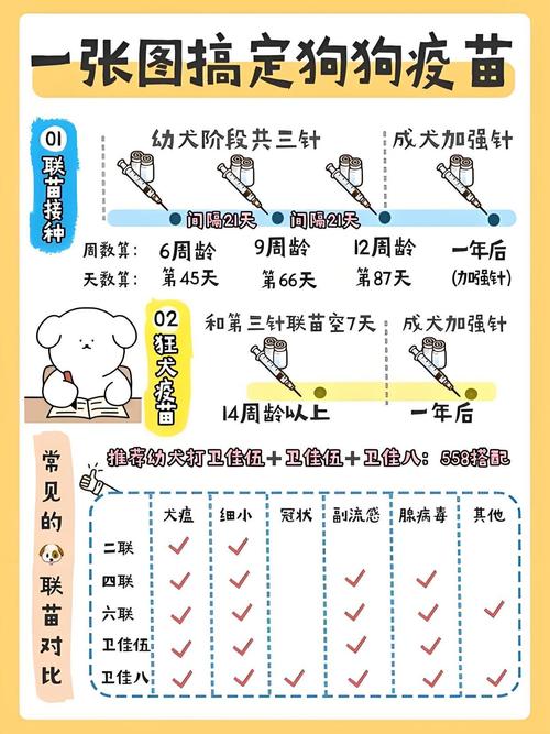 狗感冒打什么针最有效