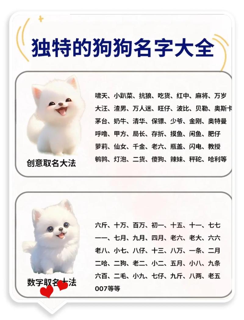 小黑猫取什么名字好听