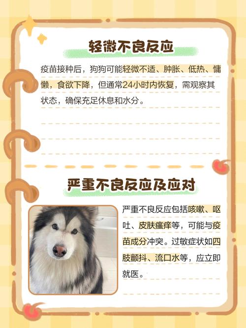 狗狗感冒可以打疫苗吗